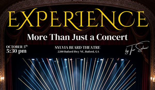 Experience: More Than Just a Concert