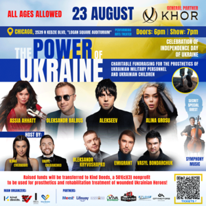 The Power Of Ukraine Chicago